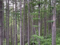 -驼梁风景区