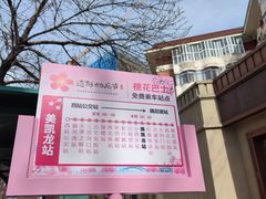 -桃花堤公园