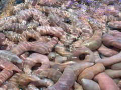 -万宝海鲜舫(劳动公园店)