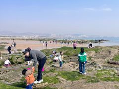 -巧克力渔家.小船海鲜胶东菜(万平口店)