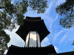 -上海佘山国家森林公园天马山园