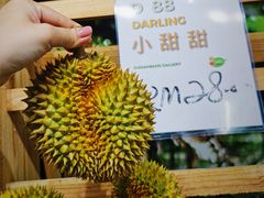 -榴莲BB 四季果园