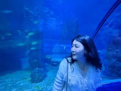 -左海海底世界