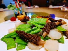 -广州中心皇冠假日酒店·百粤楼