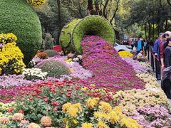 -杭州植物园