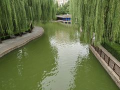 -团结湖公园