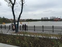 -上海长兴岛郊野公园