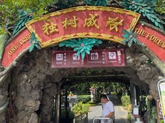-独树成林
