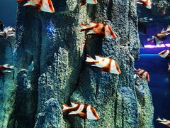 -福州罗源湾海洋世界旅游区