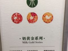 -茉酸奶(春熙路店)