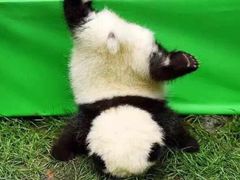 -宝德龙游泳健身