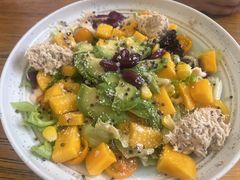 -桤木河湿地公园