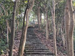 -午潮山国家森林公园