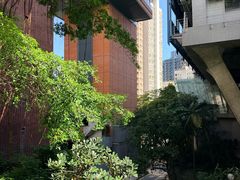 -香港大学