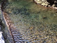 -宁波五龙潭景区