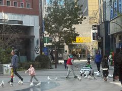 -中粮·祥云小镇