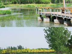 -东郊湿地公园