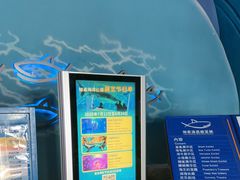-烟台海昌鲸鲨海洋公园
