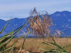 -野鸭湖国家湿地公园
