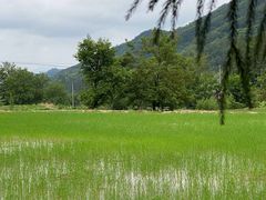 -东天目山风景区