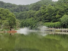 -广州市帽峰山景区