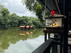 -侨美·唐荔园·40年地道粤菜