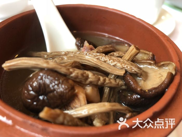 茶樹菇燉龍骨湯