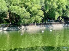 -石家庄市动物园