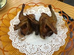 -鸽鸟轩(石岐店)