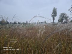 -汉长安城未央宫国家考古遗址公园