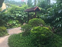 -台山颐和温泉城