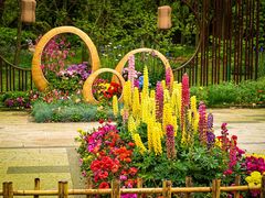 -上海共青森林公园