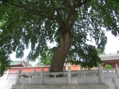 -报恩寺(平武县)