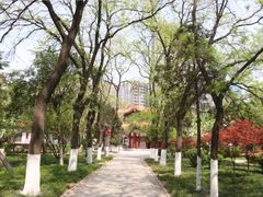 -渭滨公园