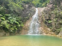 -南海湾森林生态园