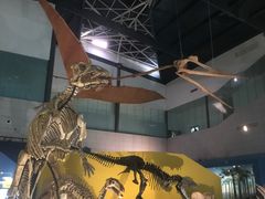 -湖南省地质博物馆