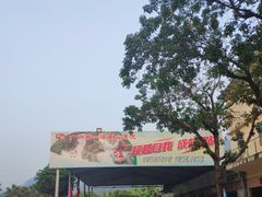 -碧水峡漂流