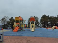 -铁山坪森林公园