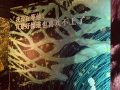 -上海外滩星空失恋减压馆(外滩旗舰馆)