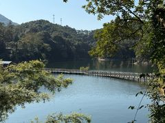 -广州市流溪河国家森林公园