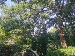 -上海佘山国家森林公园西佘山园