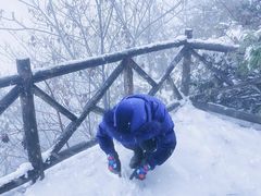 -武陵山森林公园