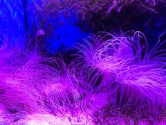 -多彩贵州城极地海洋世界