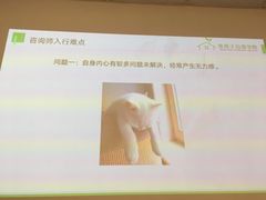 上课实景-绿房子心理咨询