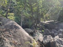 -梧桐山风景名胜区