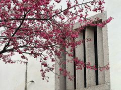 -乌山风景区
