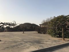 -洛阳古墓博物馆