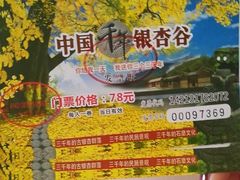 -千年银杏谷文化旅游区