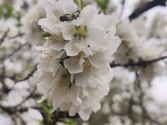-洛阳市隋唐城遗址植物园