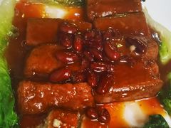 -东鸽皇(奥园·中环广场店)